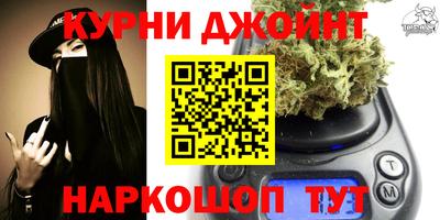 молекула духа Будённовск