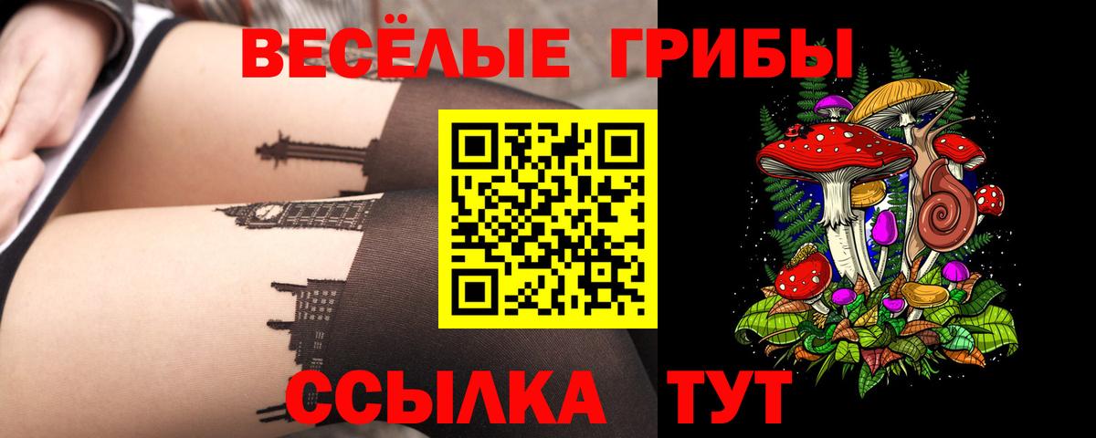 Торжок  Псилоцибиновые грибы мицелий  Вход с VPN 